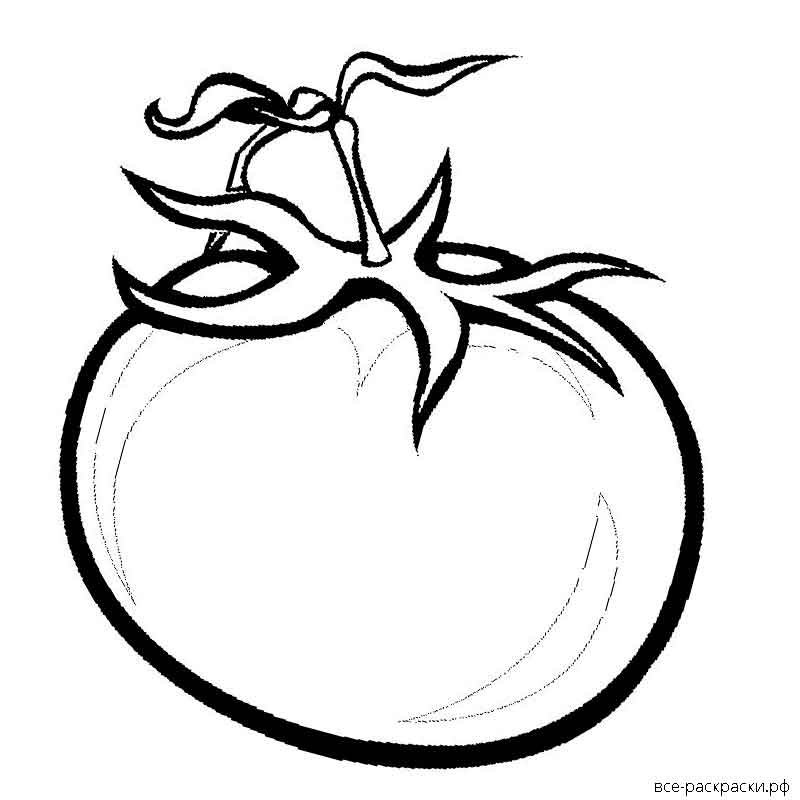 Помидор раскраска