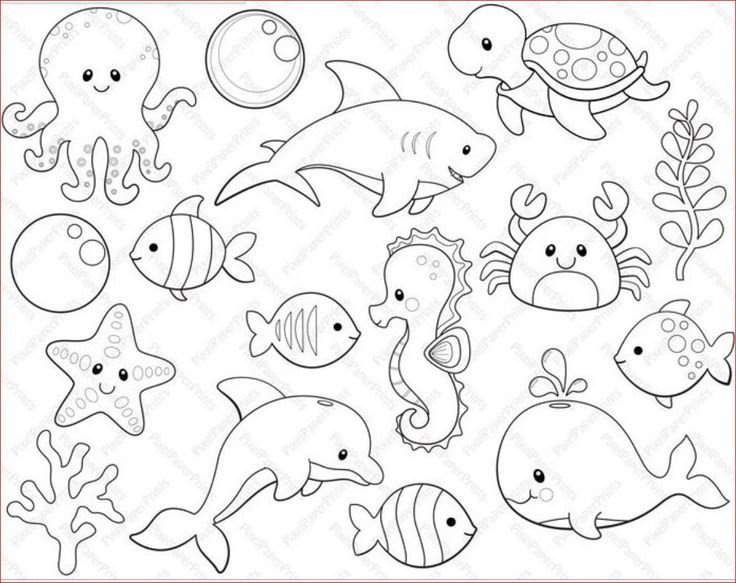Раскраска обитатели морей и океанов