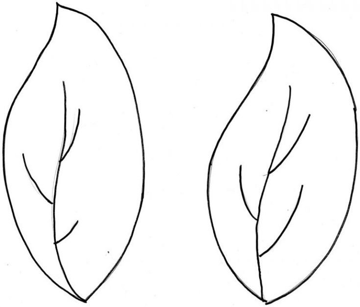 Шаблоны листочков для цветов