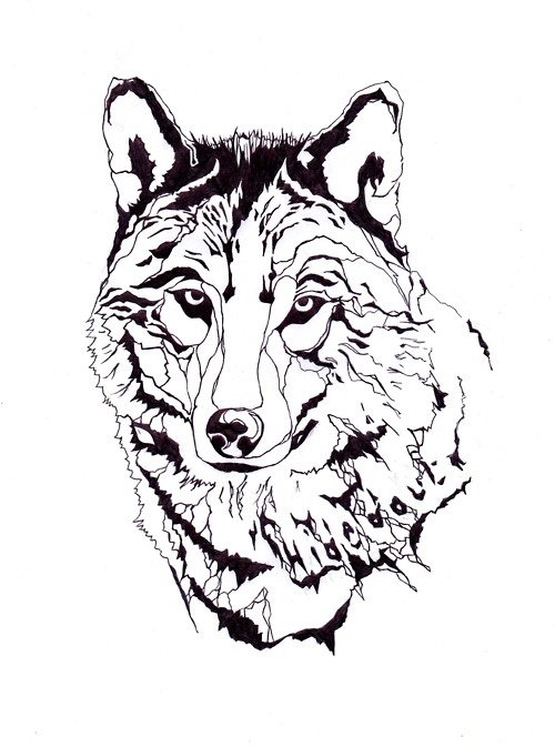 Стилизованное изображение волка