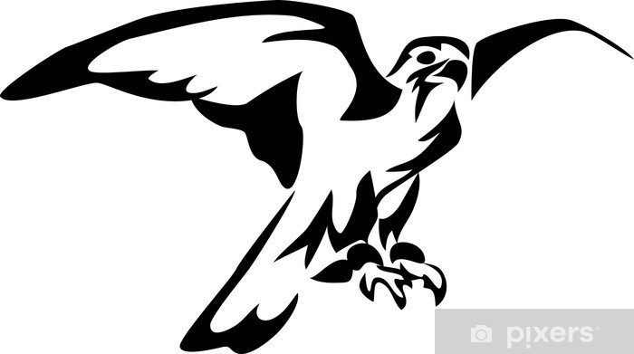 Сокол трафарет