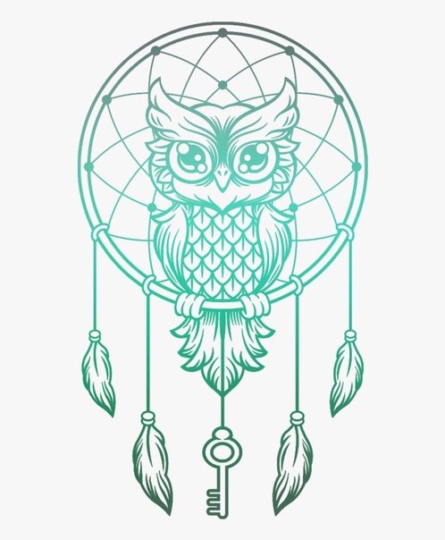 Сова ловитель снов