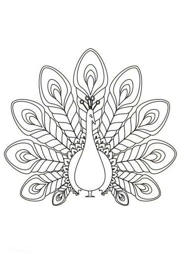 Павлин. Раскраска