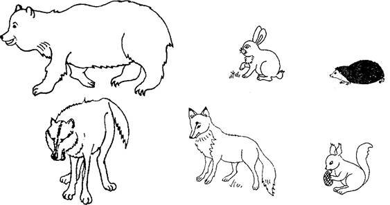 Раскраска "Дикие животные"