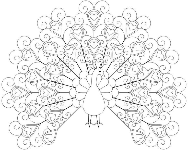 Раскраски сложные и красивые