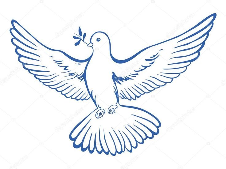 Голубь раскраска