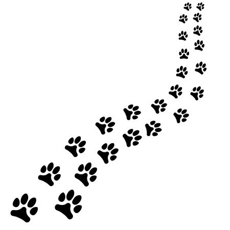 Цепочка следов животных