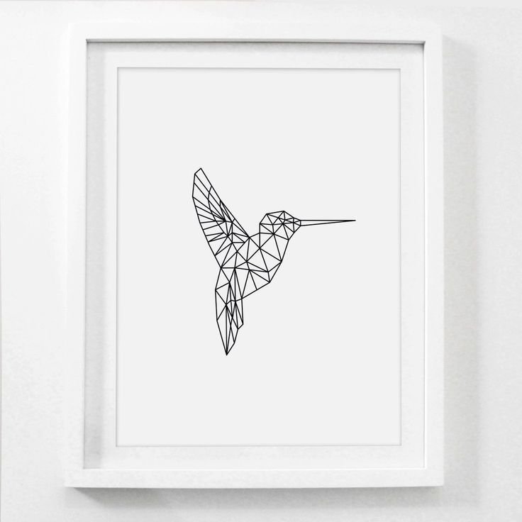 Колибри Графика