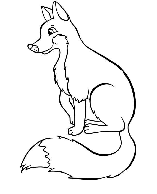 Лиса раскраска для детей