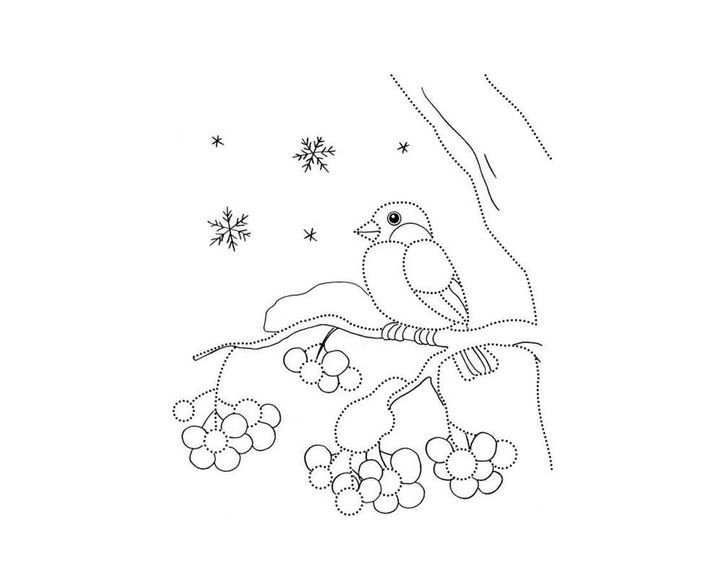 Зимние птицы раскраска для детей