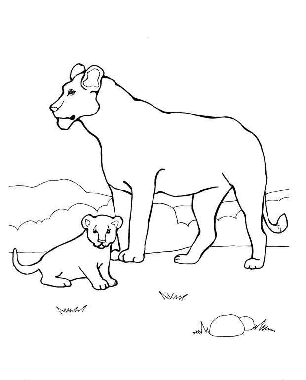 Раскраски животные для детей