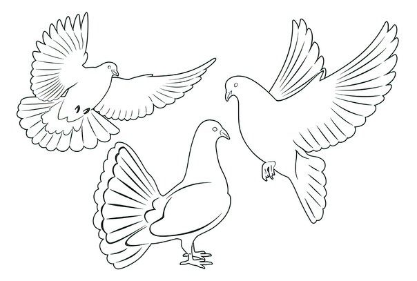 Голубь мира раскраска