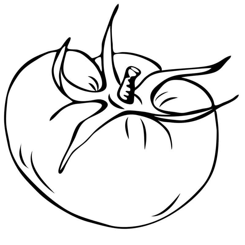 Помидор раскраска для малышей