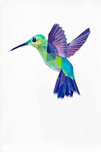 Птица геометрия