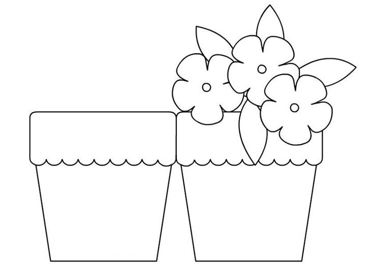 Открытка цветы в горшочке