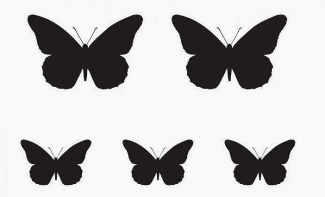 Трафареты бабочек для декора