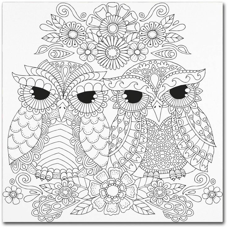 Раскраска Сова сложная