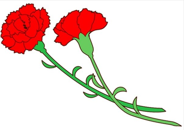 Гвоздики на окна