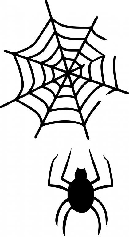 Паук на паутине