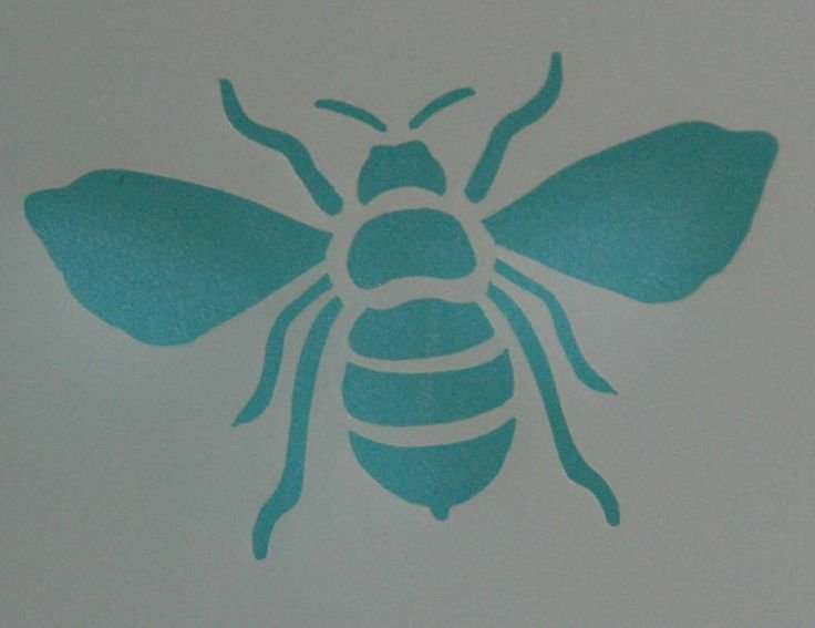 Трафареты насекомых для вырезания