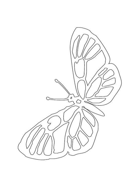 Вытынанки бабочки трафареты