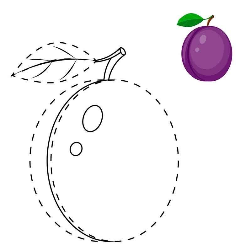 Слива картинка для детей раскраска