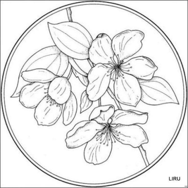 Цветы в круге раскраска