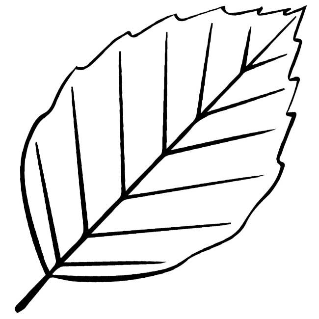 Трафареты Лис для вырезания