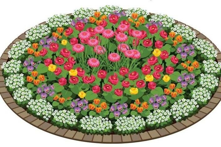 Круглая клумба с цветами