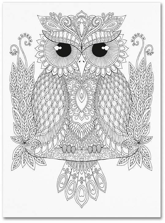 Раскраски Совушки