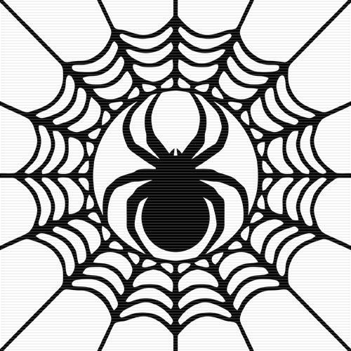 Паук на паутине