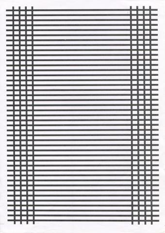 Зебра а4 5мм 10мм