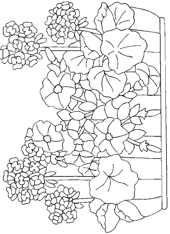 Раскраски Клумба