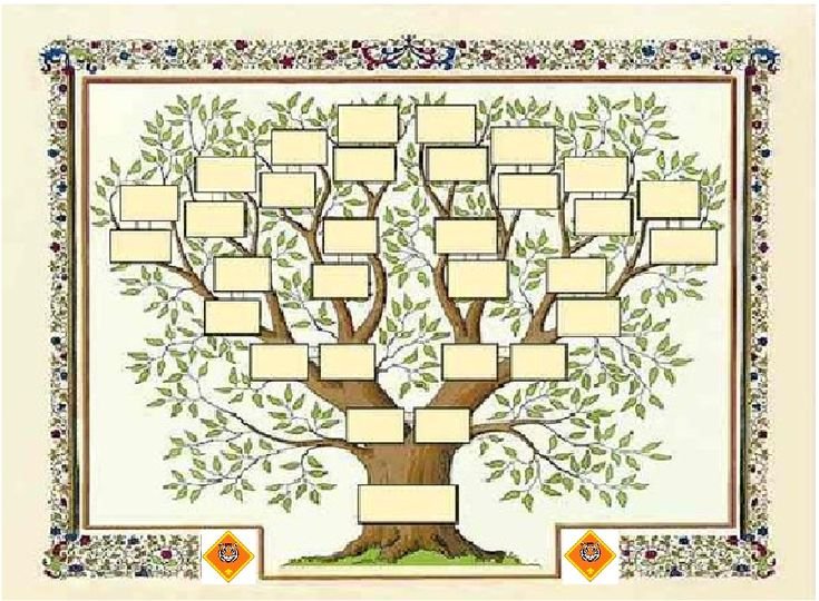 Шежере родословная