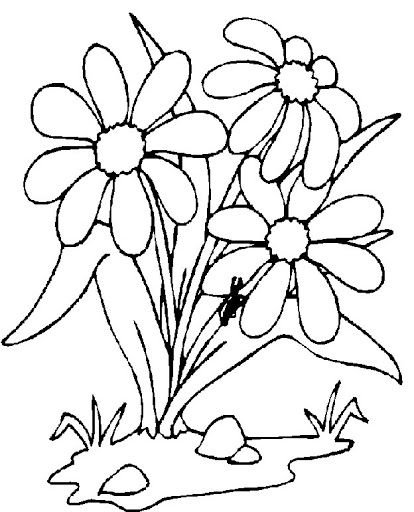 Ромашка раскраска для детей