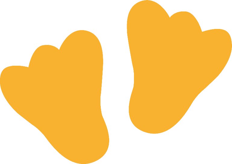 Следы лапок