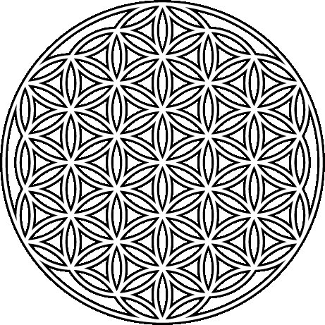 Мандала цветок жизни вектор