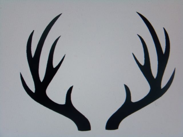 Оленьи рога