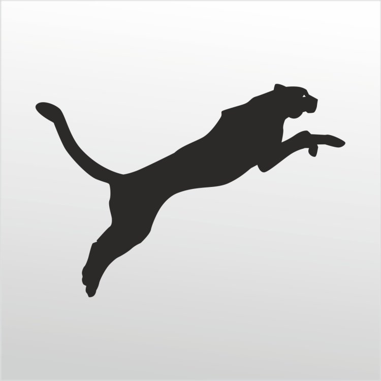 Пантера в прыжке