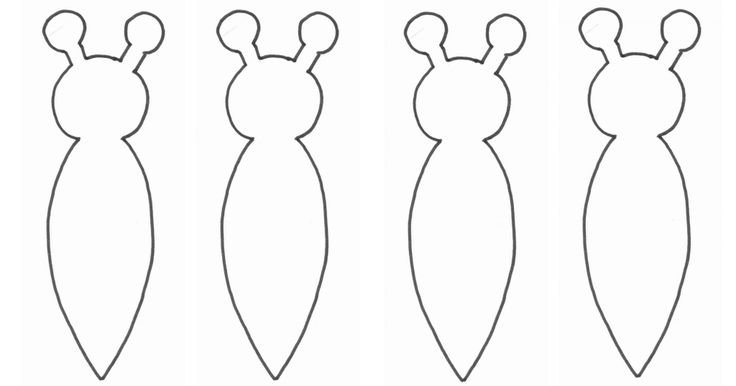 Туловище бабочки