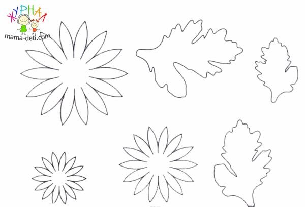 Трафарет хризантемы из фоамирана