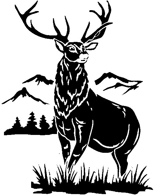 Олень гравировка