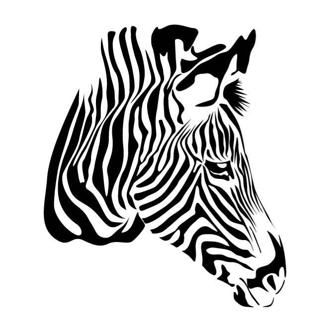 Зебра рисунок