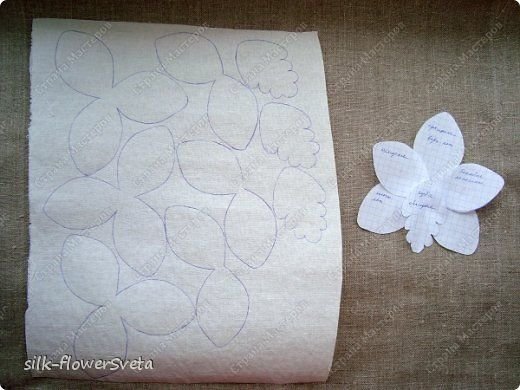 Трафарет орхидеи для вафельной бумаги