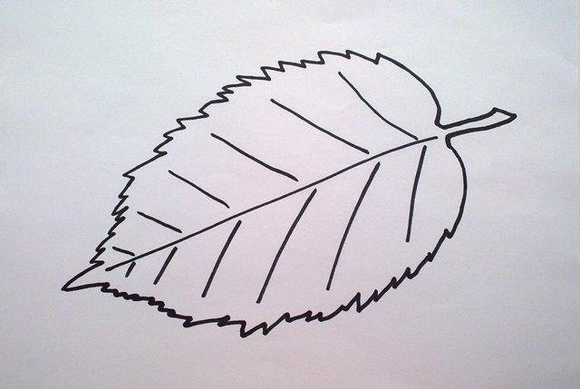 Лист подсолнуха трафарет