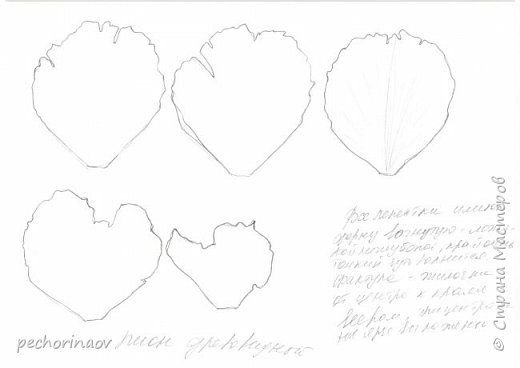 Трафарет лепестков