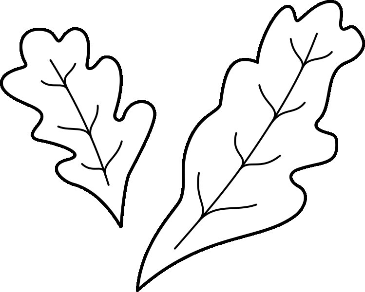 Трафарет листьев дуба