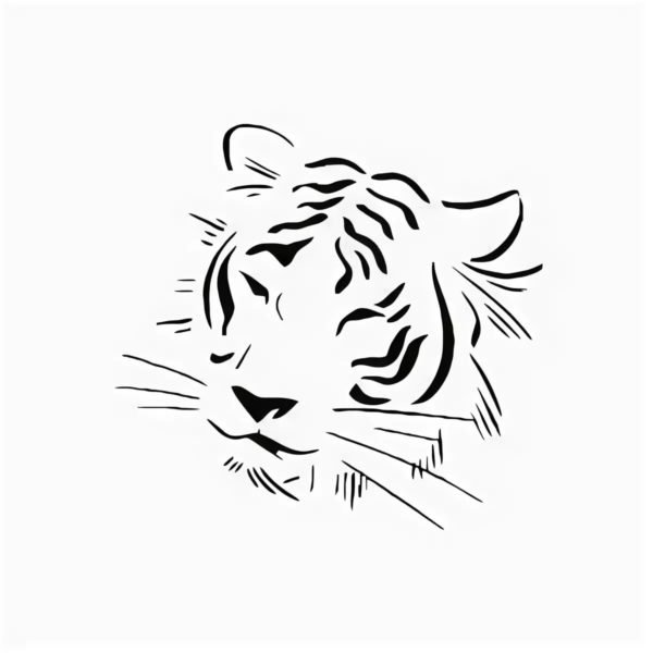 Контурный рисунок тигра