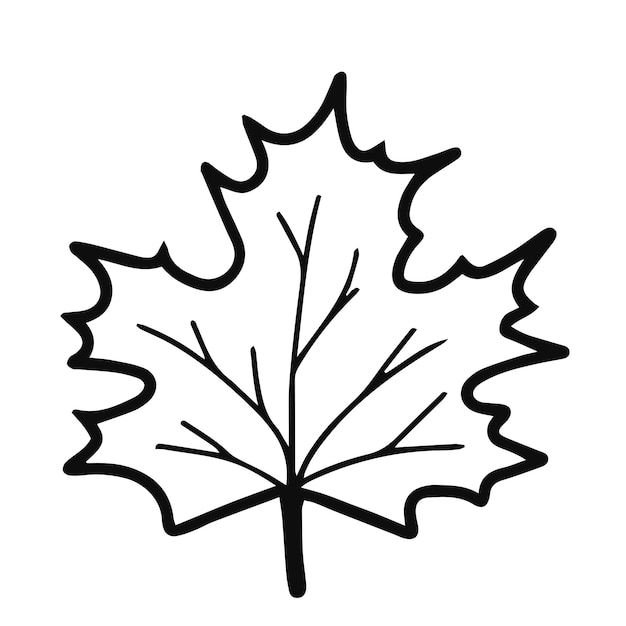 Листья картинки нарисованные