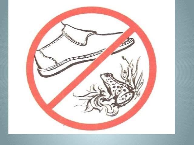 Природоохранные знаки